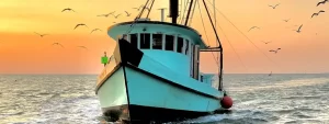 Fishing boat on the ocean allowing Fleet Managers to track the fleet