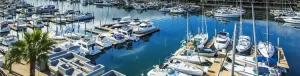 Solutions for Your Marina from Tocaro Blue